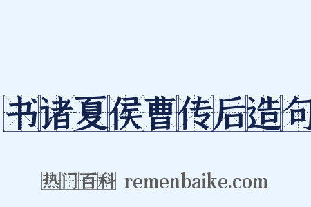 书诸夏侯曹传后造句是什么意思的图片